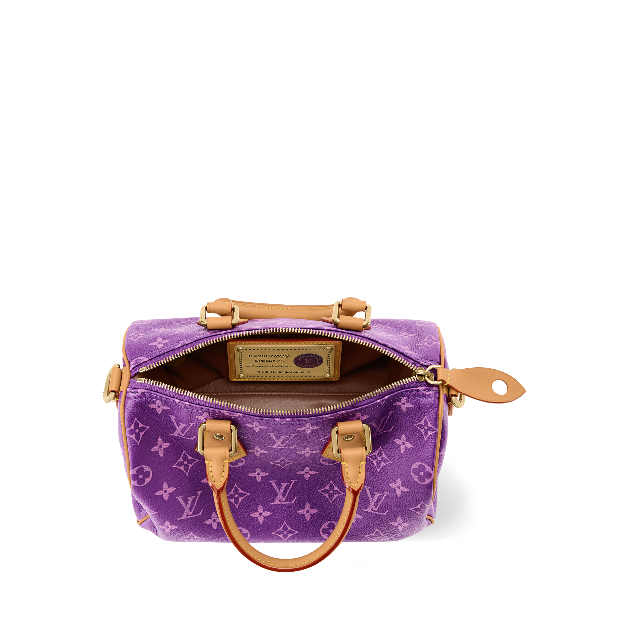 Speedy P9 Bandoulière 25 H40 - Luxury Leather Goods and Travel